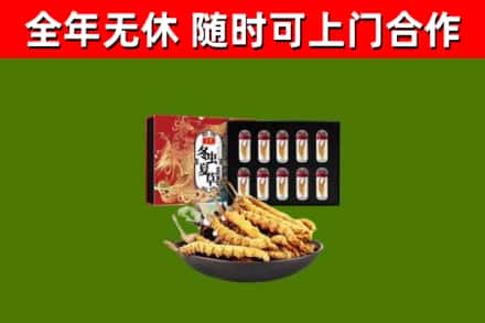 松岭区回收冬虫夏草价格